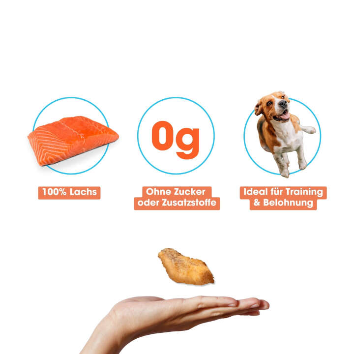 KAUDAS Hundeleckerli LachsPur Natursnack